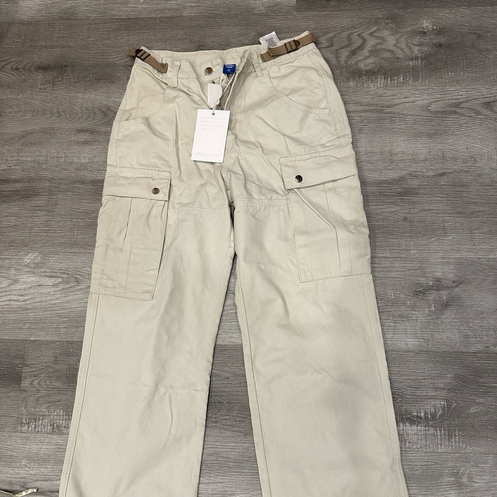 Brand New aelfric and eden tan pants
